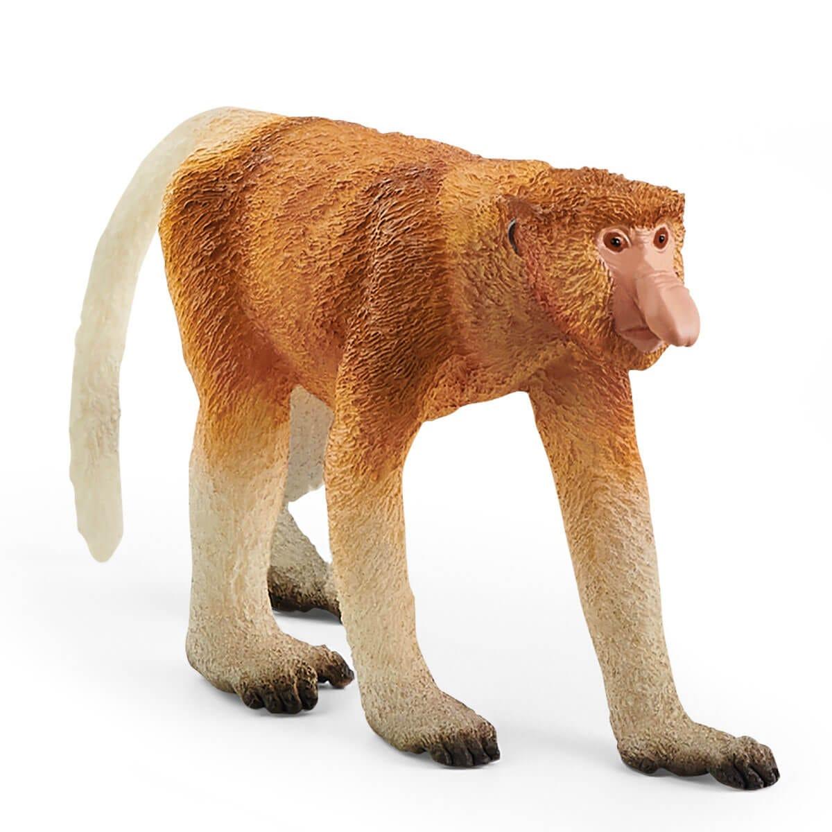 schleich WILD LIFE Proboscis Monkey (SCHLEICH Wild Life Proboscis Monkey Toy Figure 3 to 8 Years Multi-colour 14846)