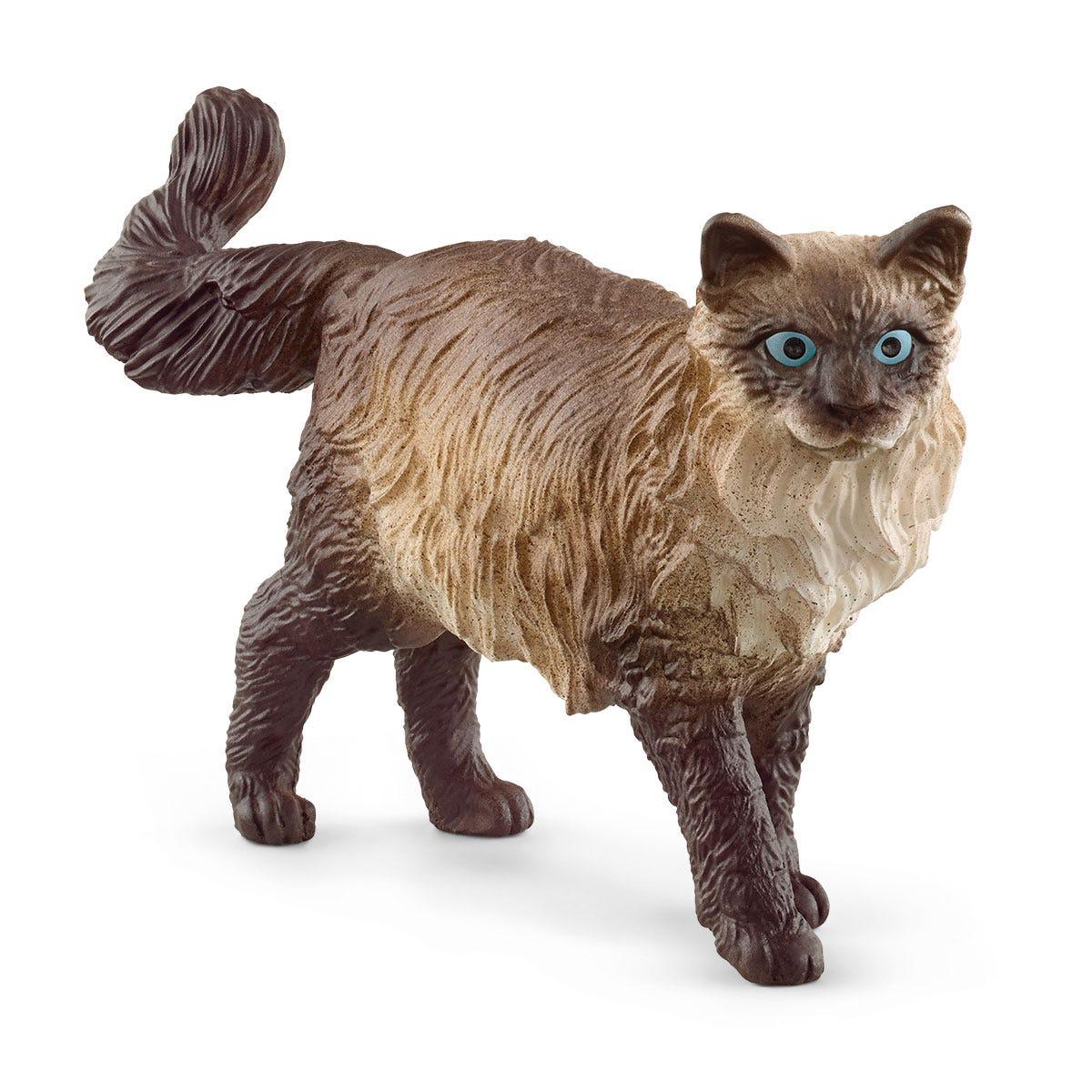 schleich FARM WORLD Ragdoll Cat (SCHLEICH Farm World Ragdoll Cat Toy Figure 3 to 8 Years Multi-colour 13940)