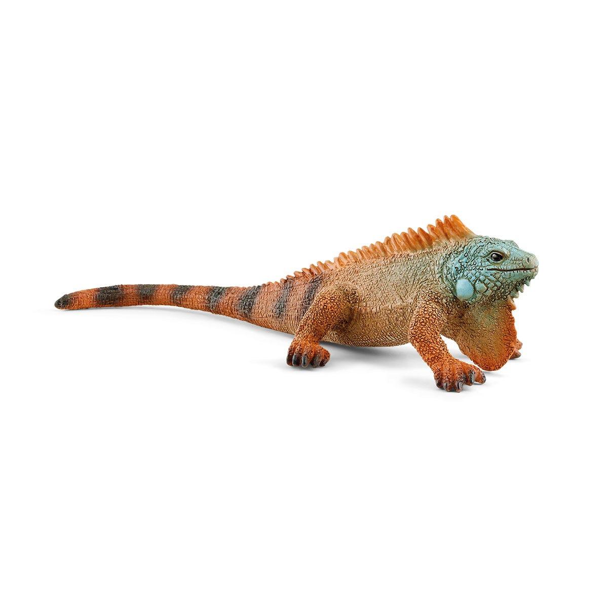 schleich WILD LIFE 14854 action figure giocattolo (SCHLEICH Wild Life Iguana Toy Figure 3 to 8 Years Multi-colour 14854)