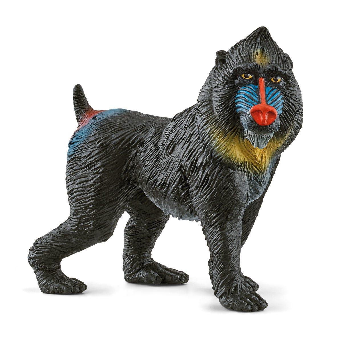 schleich WILD LIFE Mandrill 14856 (SCHLEICH Wild Life Mandrill Toy Figure 3 to 8 Years Multi-colour 14856)