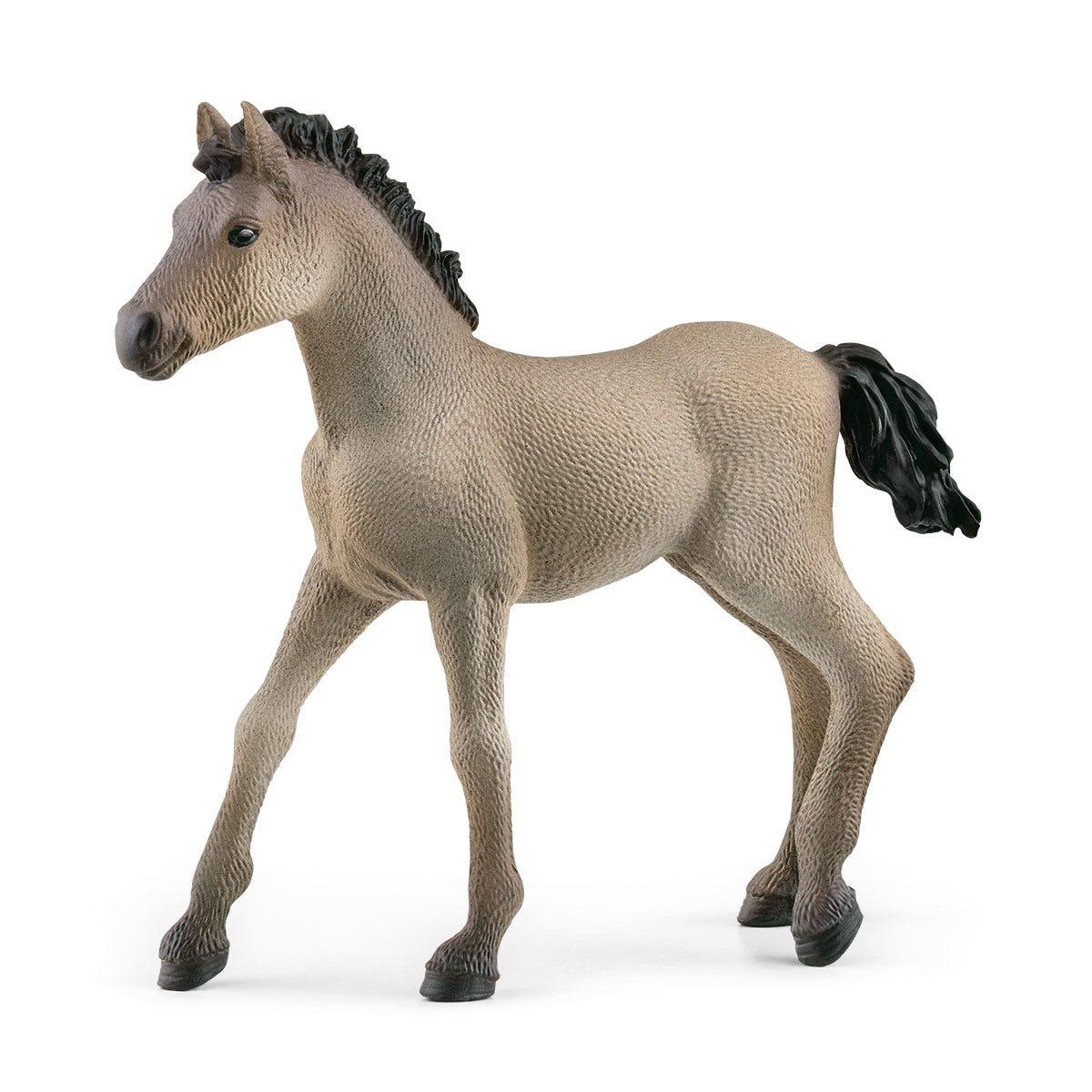 schleich HORSE CLUB Criollo Definitivo Foal (SCHLEICH Horse Club Criollo Definitivo Foal Toy Figure 5 to 12 Years Brown 13949)