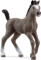 schleich HORSE CLUB 13957 action figure giocattolo (SCHLEICH Horse Club Selle Francais Foal Toy Figure 5 to 12 Years Grey 13957)