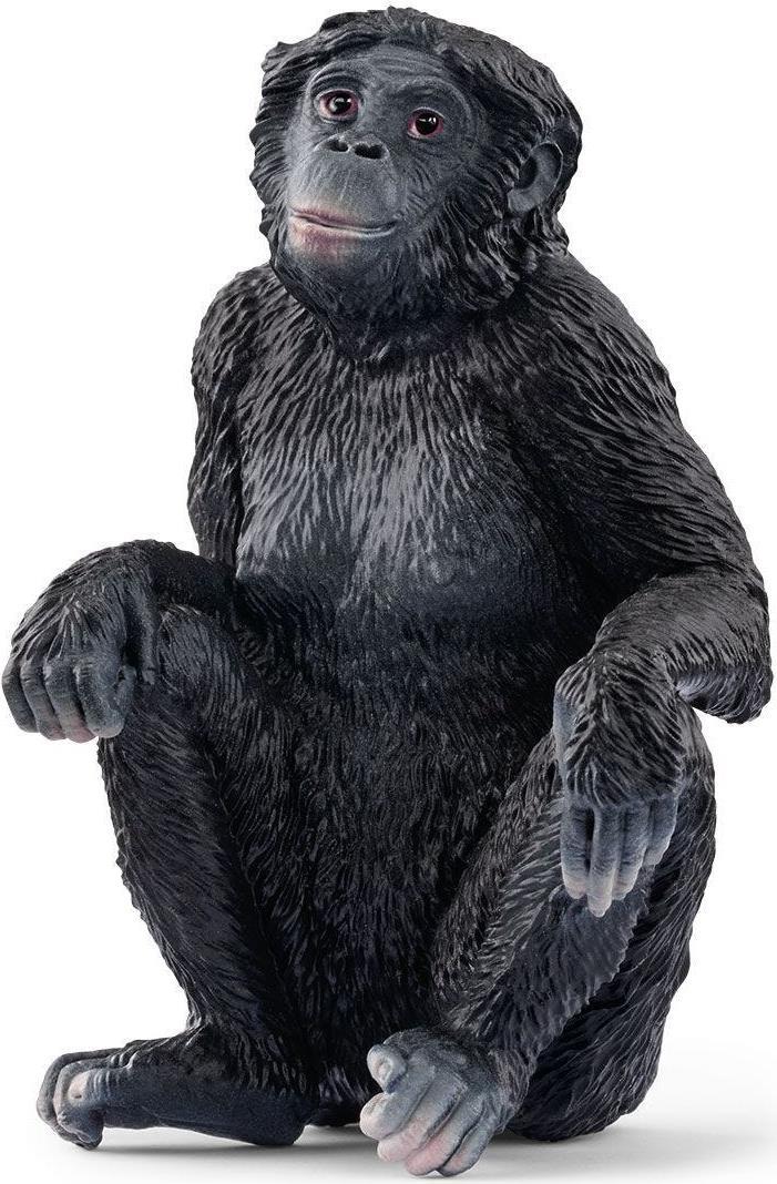 schleich WILD LIFE 14875 action figure giocattolo (SCHLEICH Wild Life Bonobo Female Toy Figure 3 to 8 Years Black 14875)