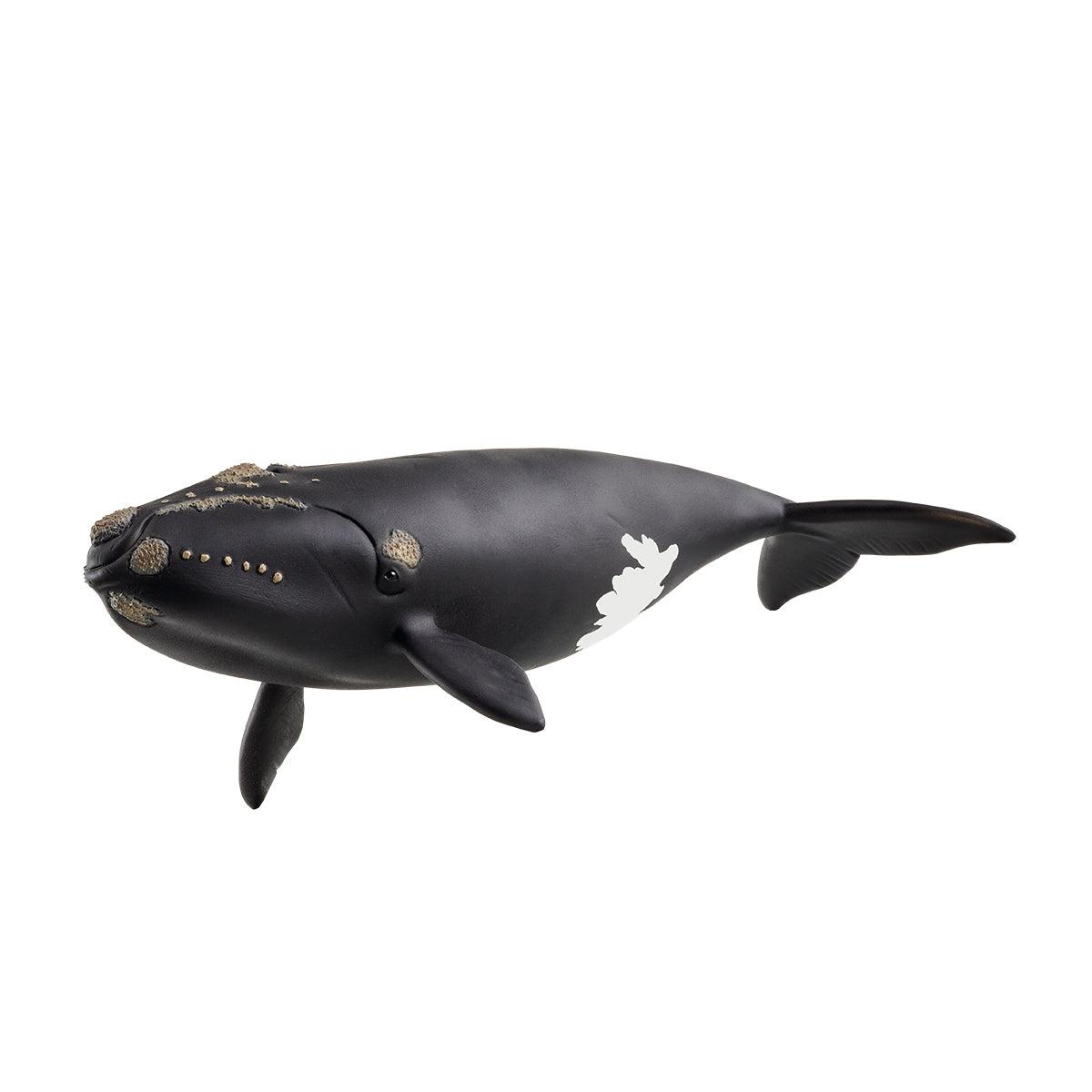 schleich WILD LIFE 14878...