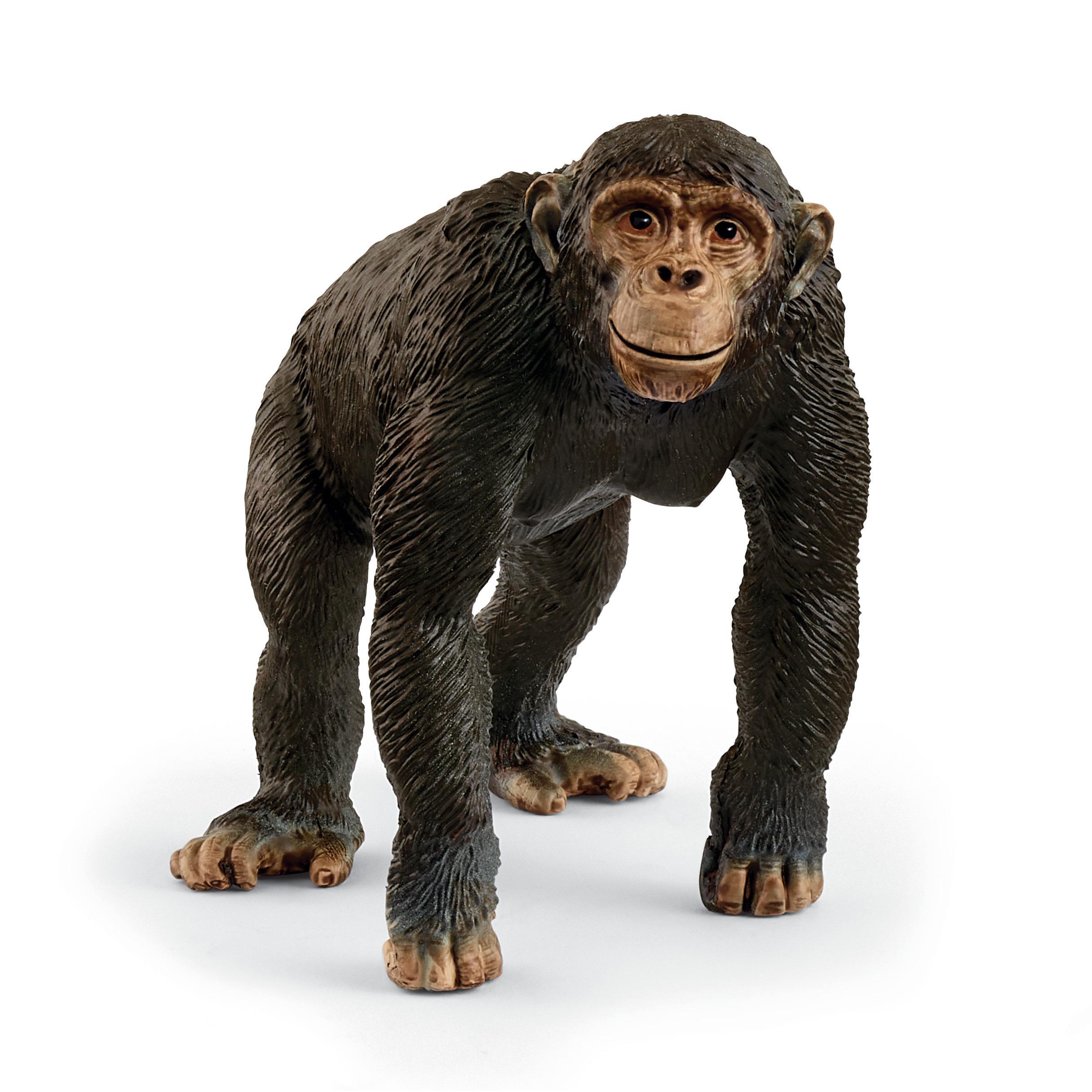schleich WILD LIFE 14883...