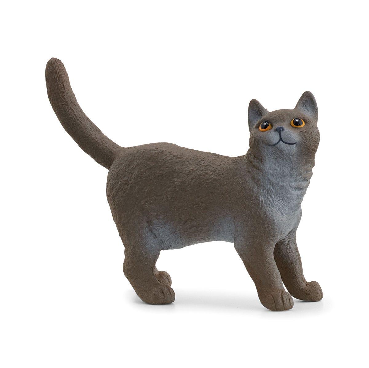 schleich FARM WORLD 13973 action figure giocattolo (SCHLEICH Farm World British Shorthair Cat Toy Figure 3 to 8 Years Black 139