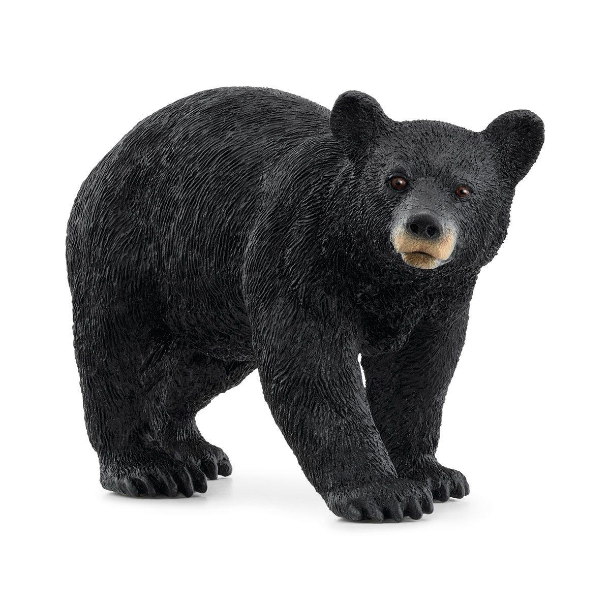 schleich WILD LIFE 14869 action figure giocattolo (SCHLEICH Wild Life American Black Bear Toy Figure 3 to 8 Years Black 14869)