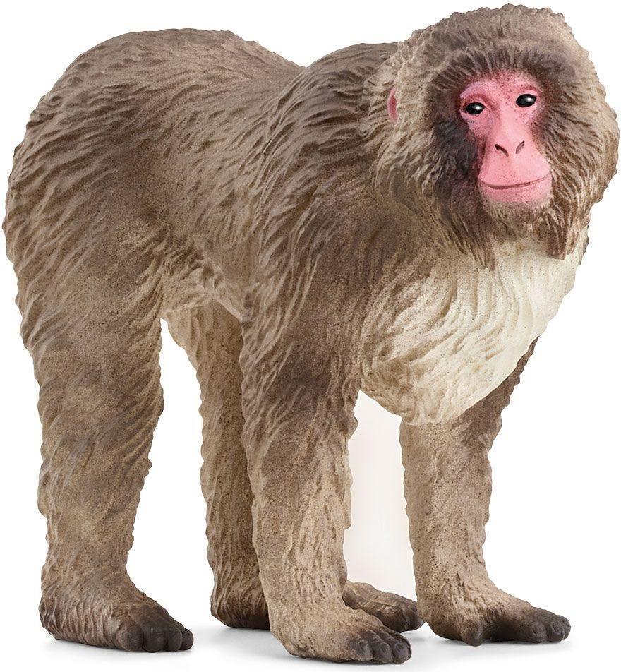 schleich WILD LIFE 14871 action figure giocattolo (SCHLEICH Wild Life Japanese Macaque Toy Figure 3 to 8 Years Brown 14871)