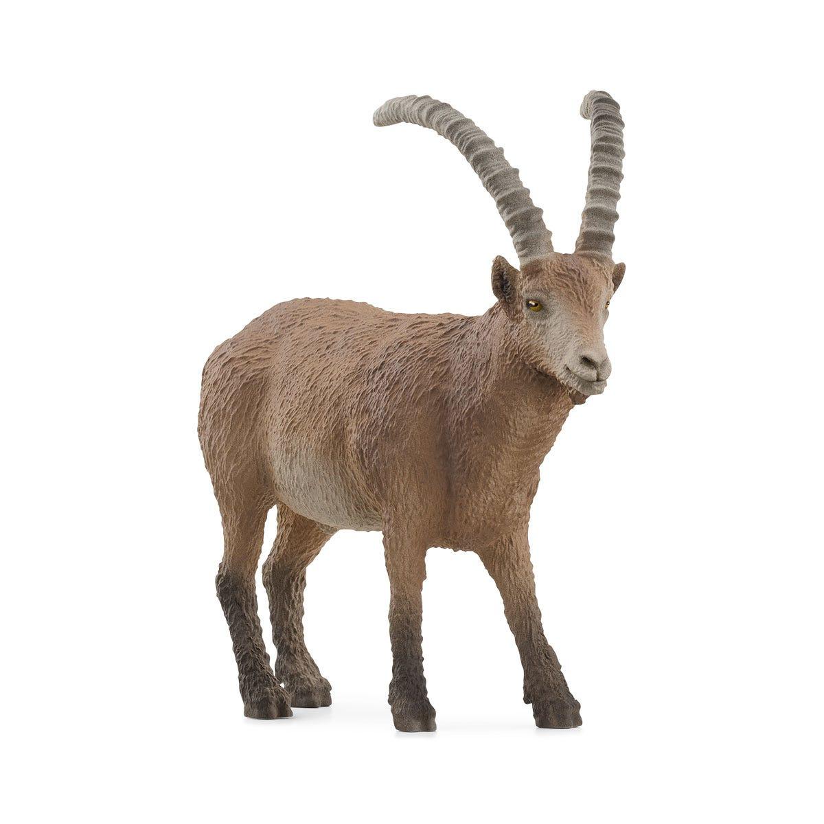 schleich WILD LIFE 14873 action figure giocattolo (SCHLEICH Wild Life Ibex Toy Figure 3 to 8 Years Brown 14873)
