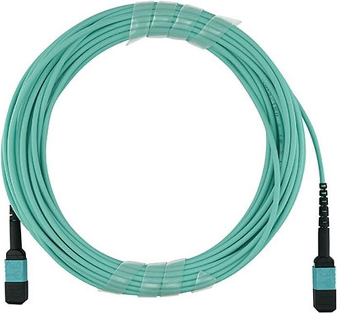 Cavo patch multimodale OM3 compatibile Networks 00VX005 MTP-MTP 30 metri