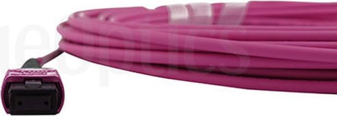 Cavo trunk MTP in fibra ottica OM4 12 nuclei 5 metri tipo A