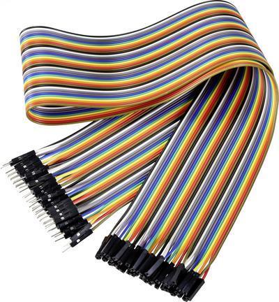 Renkforce Jumper-Kabel Arduino, Banana PI, Raspberry Pi [Plug del ponte a filo 40x Plug-40x Società del ponte a filo] 60,00 cm