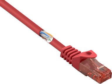 RenkForce RF-5047416 Cavo di rete RJ45, cavo patch Cat 6 U/UTP 0,50 m di rosso con protezione del naso a riposo, 1 s a efficien