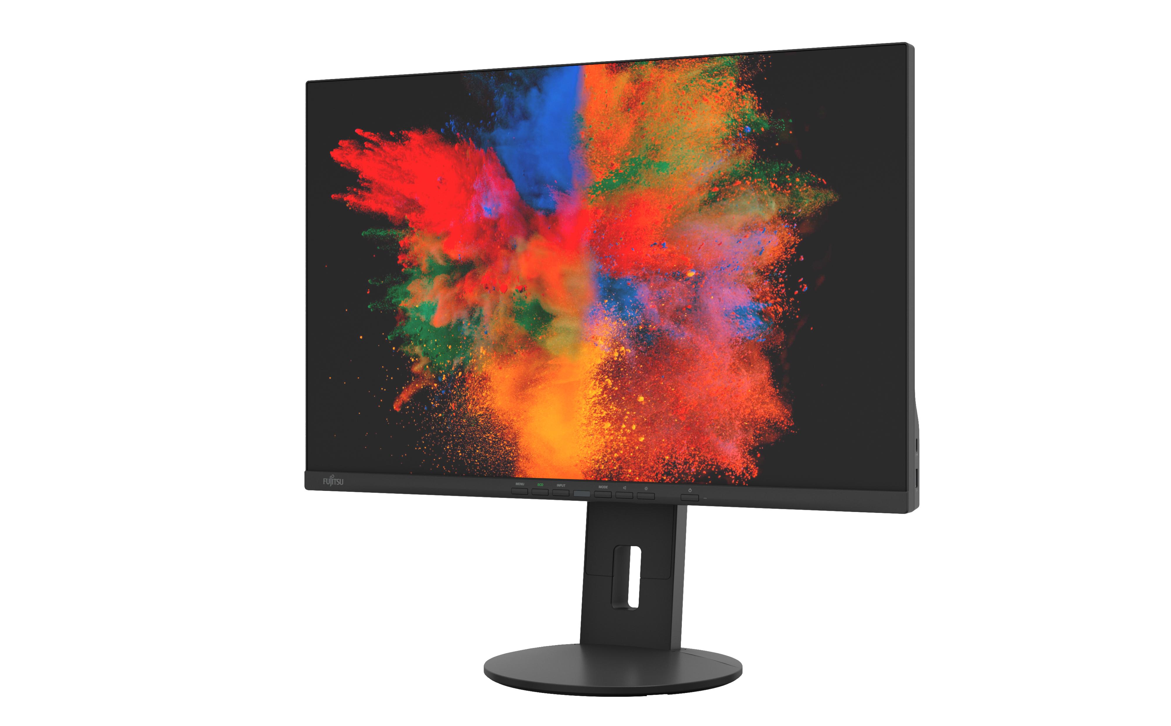 Fujitsu Displays B2410 WS...