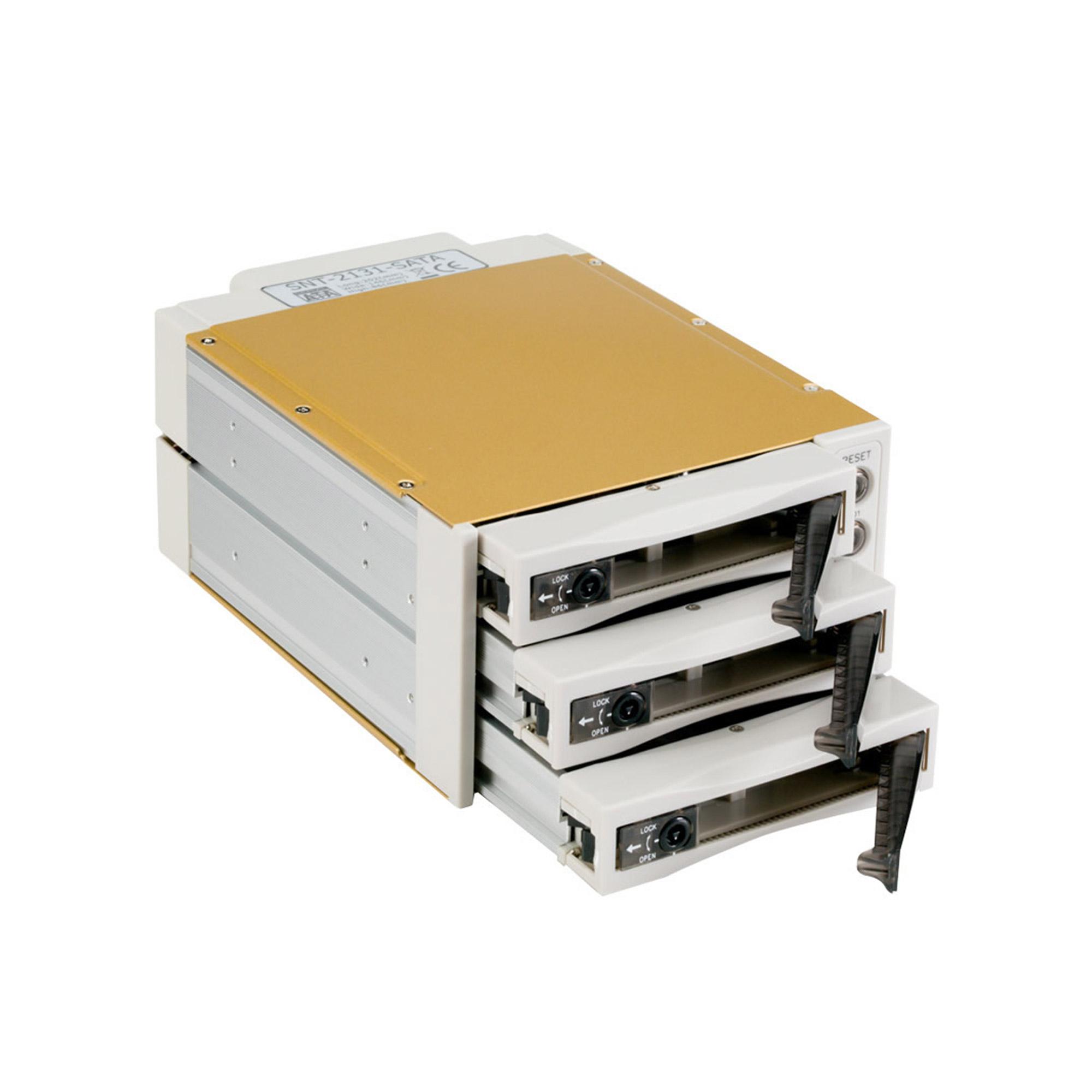 Fantec SNT-BA2131-2 - S-ATA 2x 13,30cm (5.25") per 3x1" HDD beige (2007)
