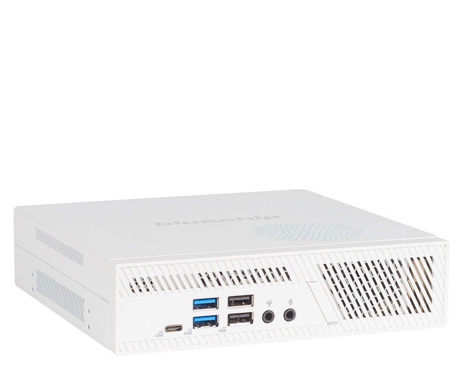 bluechip BUSINESSline S3159 Intel Core i5 i5-13400 8 GB DDR5-SDRAM 500 GB SSD Windows 11 Pro Mini PC Bianco