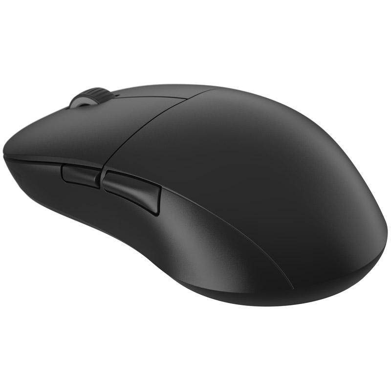 Endgame Gear XM2we mouse...
