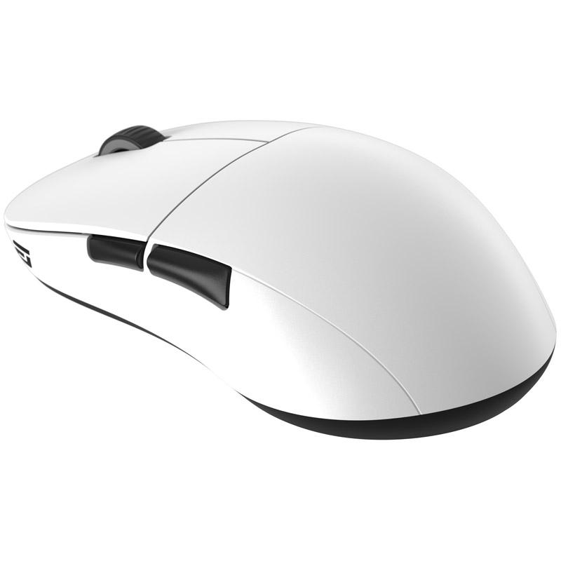 Endgame Gear XM2we mouse...