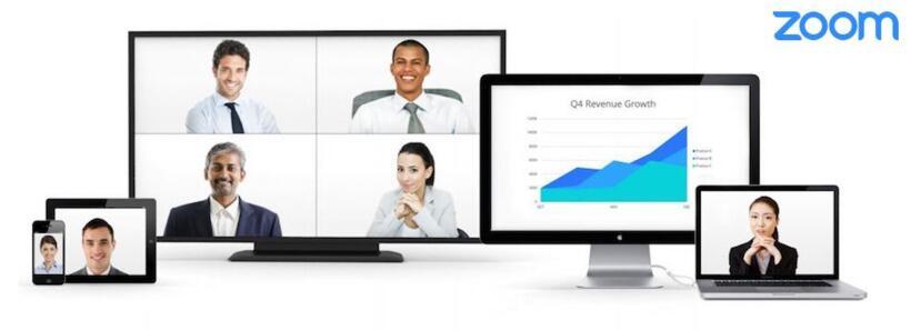 Zoom Meetings Pro License 1 anno (almeno 5 ripidi) Relay utente 500-999