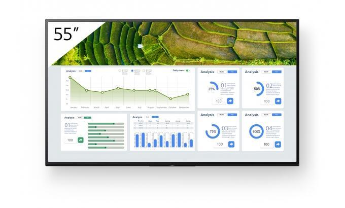 SONY BRAVIA PROFESSIONAL DISPLAYS FW-55BZ30L - CLASSE DE DIAGONALE 55 BZ30L SERIES ÉCRAN LCD RÉTRO-ÉCLAIRÉ PAR LED - SIGNAL