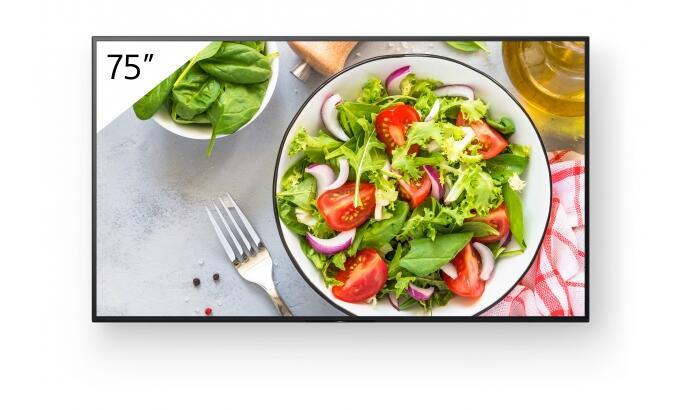 Display professionale Sony...