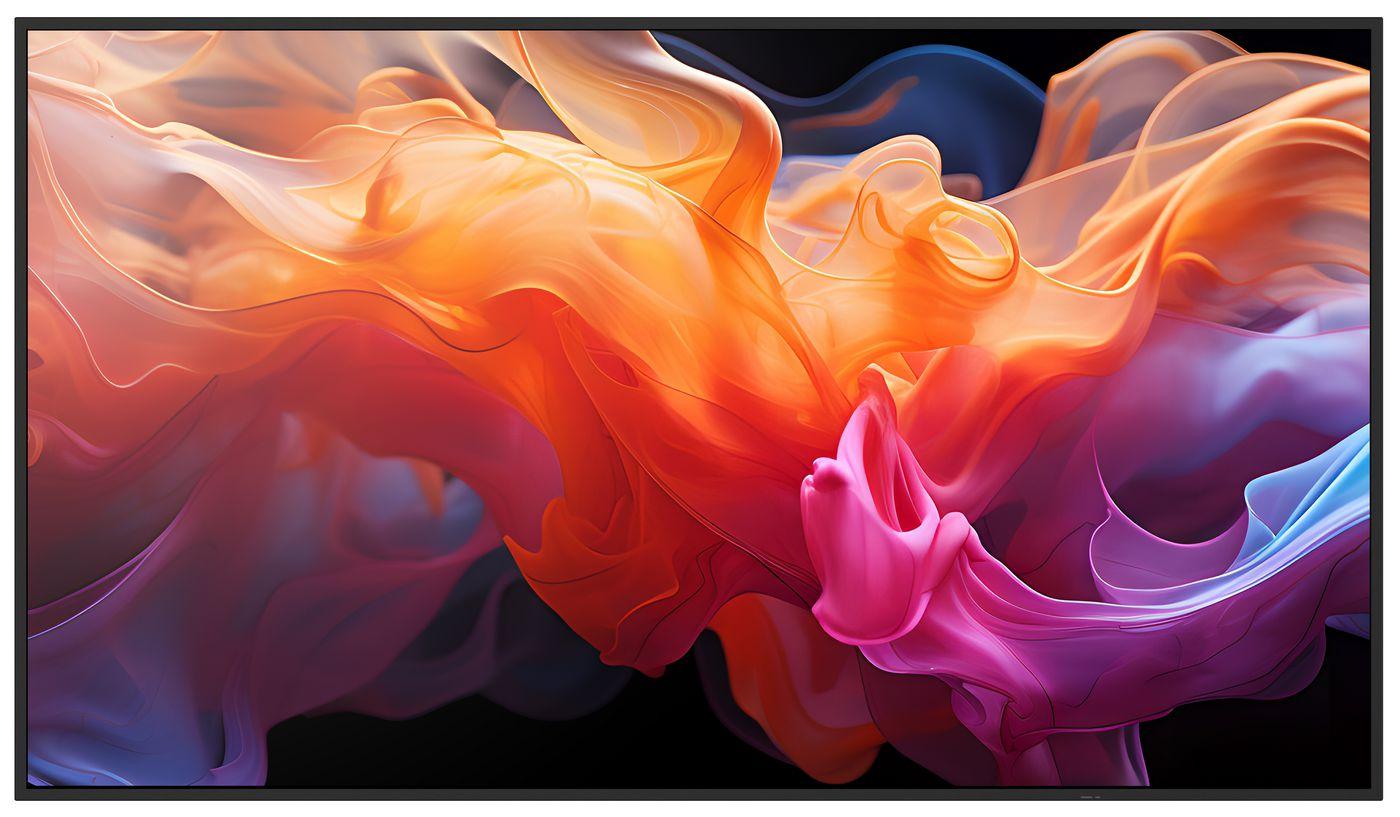 Sharp MultiSync E559...