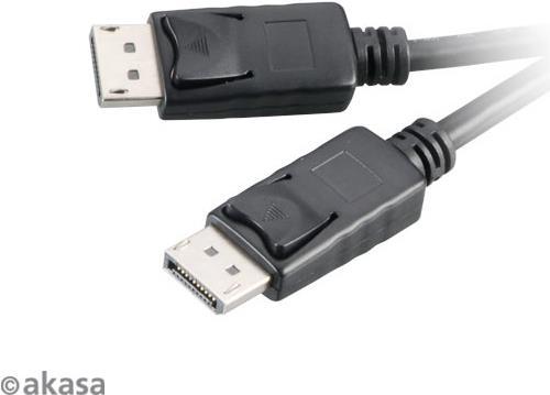 Akasa AK-CBDP01-20BK Adattatore del cavo (AK-CBDP01-20BK)
