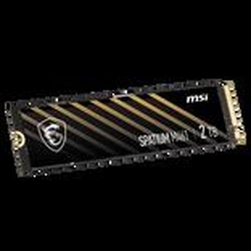 MSI S78-440Q550-P83 drives allo stato solido M.2 2000 GB PCI Express 4.0 3D NAND NVMe