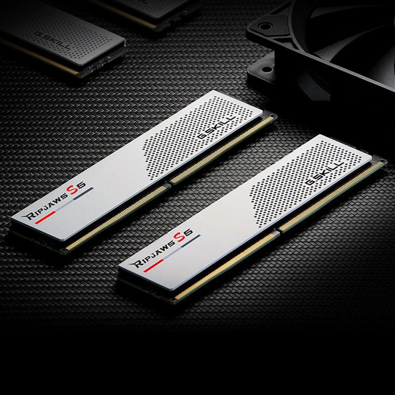 G.Skill Ripjaws S5 - DDR5 - Kit - 64 GB - DIMM 288-PIN a basso profilo - 5600 MHz / PC5-44800 - CL28 - non ECC - Bianco opaco (