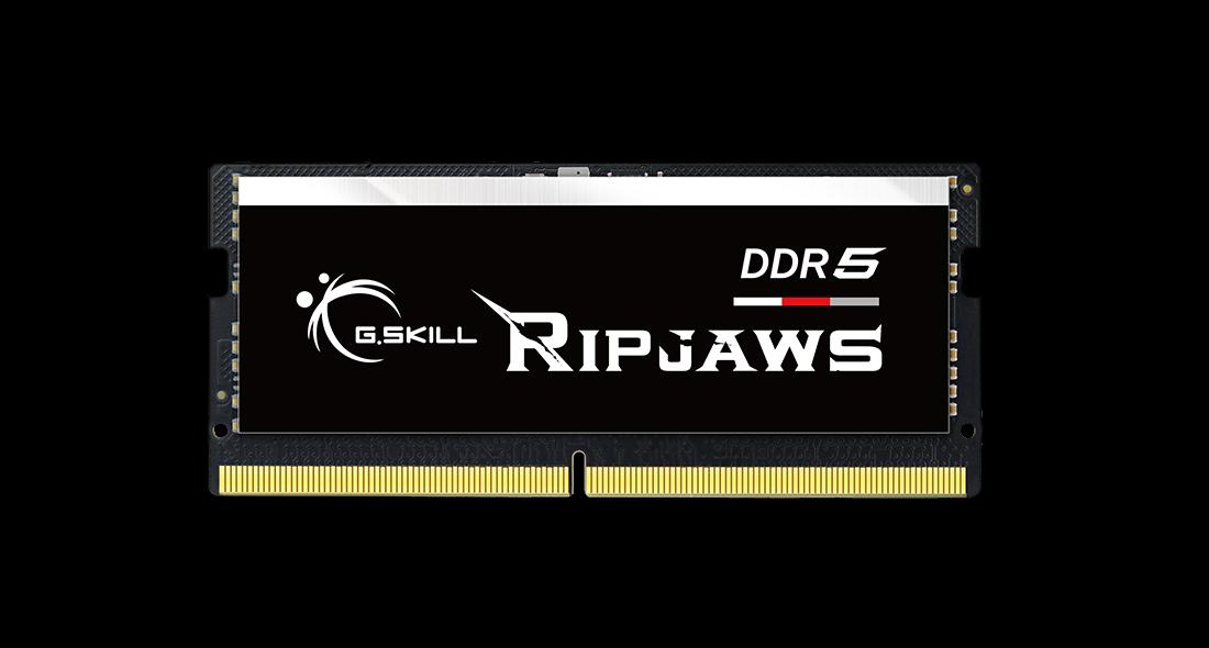 G.Skill Ripjaws F5-4800S3838A16GX1-RS memoria 16 GB 1 x 16 GB DDR5 4800 MHz (G.Skill Ripjaws - 16GB - DDR5 - 4800MH)