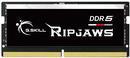 G.Skill Ripjaws F5-5600S4040A16GX1-RS memoria 16 GB 1 x 16 GB DDR5 5600 MHz (SO DDR5 16GB PC 5600 CL40 G.Skill [1x1)