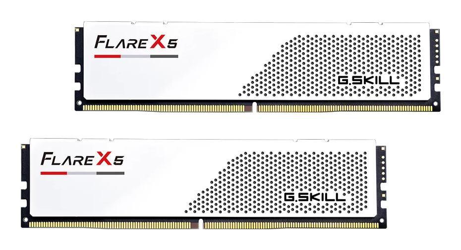 G.Skill Flare X5...