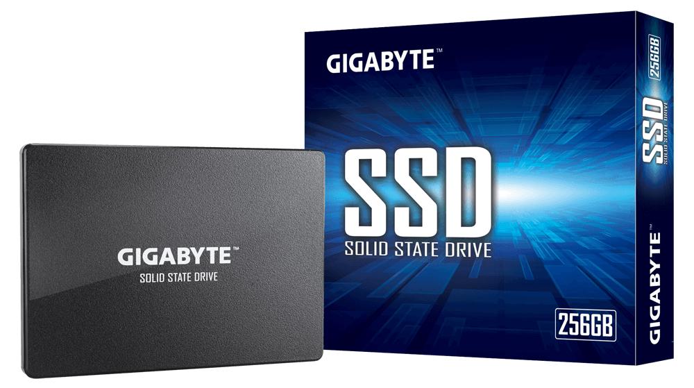 GIGABYTE GP-GSTFS31256GTND...