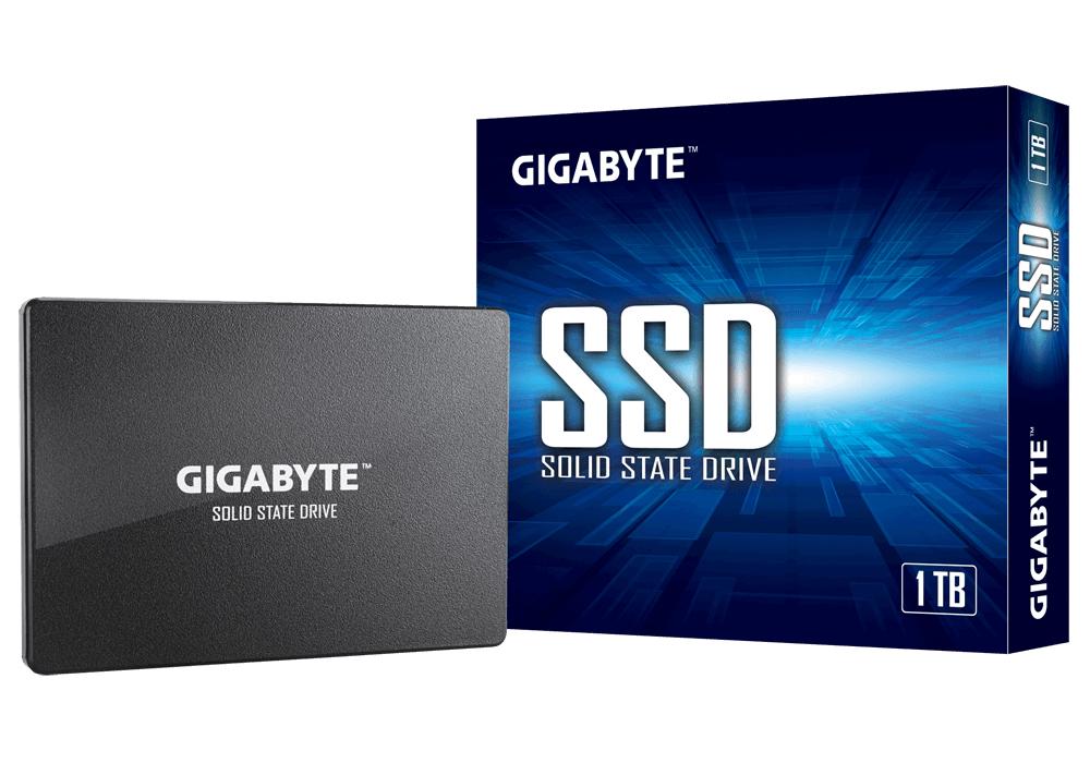 Gigabyte GP-GSTFS31100TNTD...