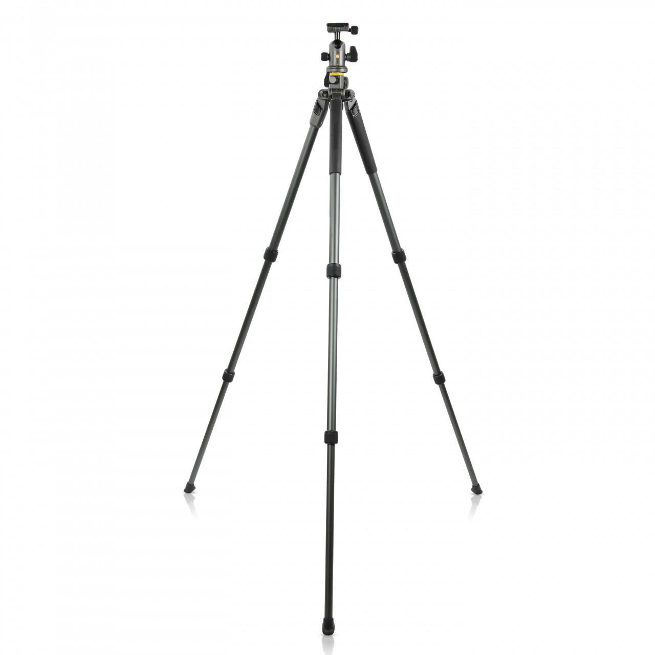 Alta Pro2 263AB100