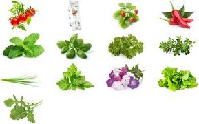 Click and Grow Smart Garden Refill 3-p