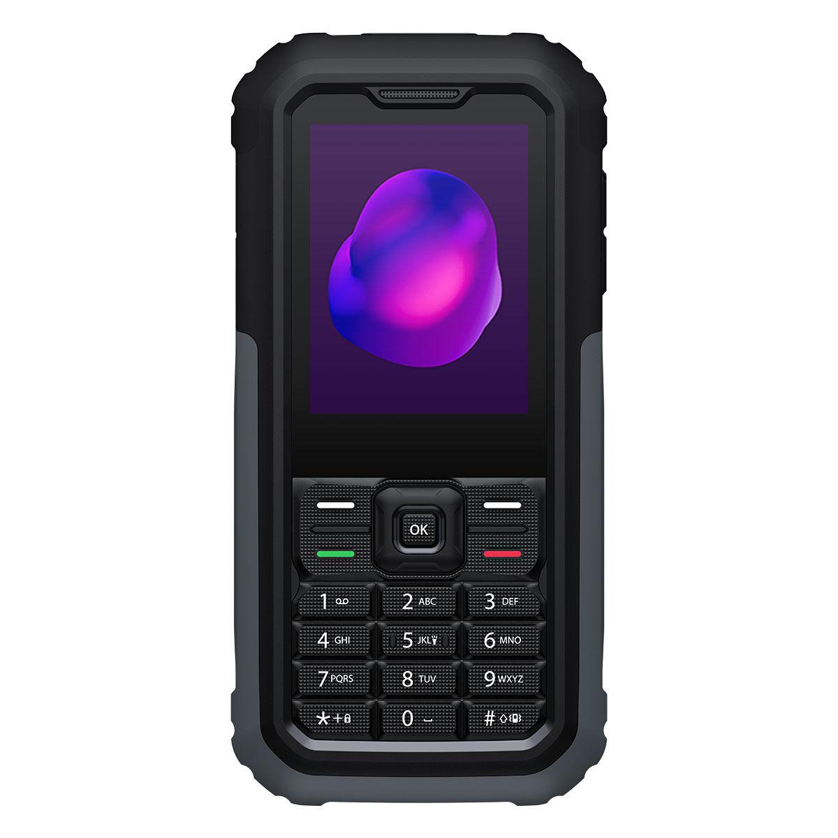 TCL 3189 Robusto cellulare per anziani da 2,4" Grigio