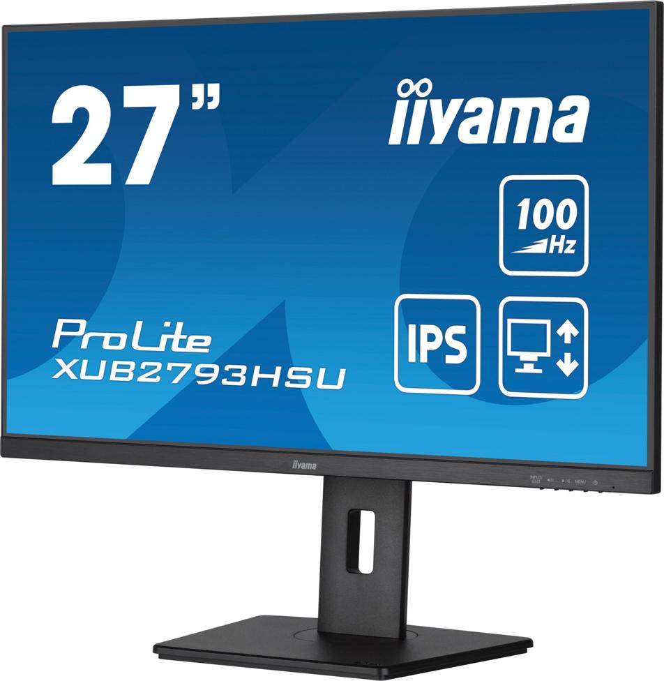 iiyama ProLite...