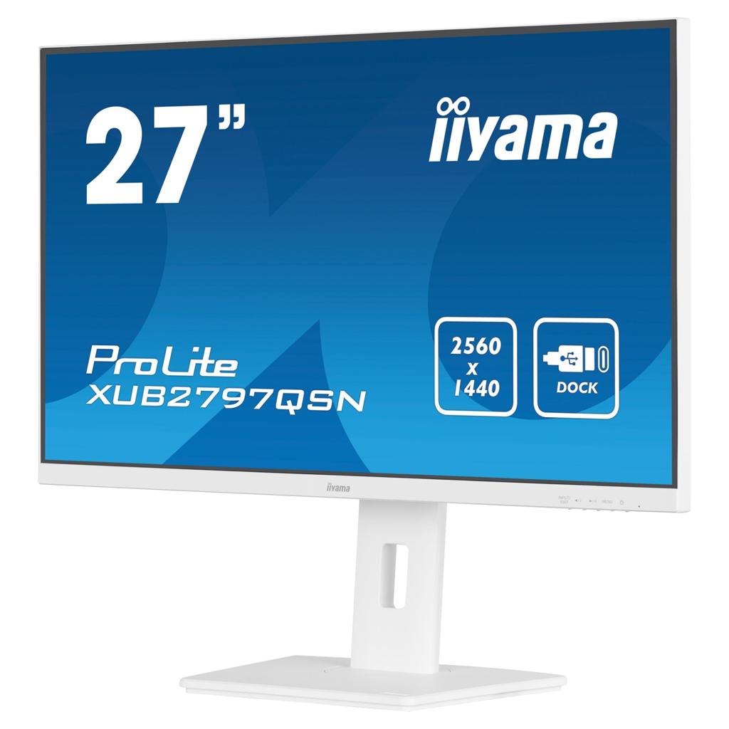 iiyama G-MASTER...