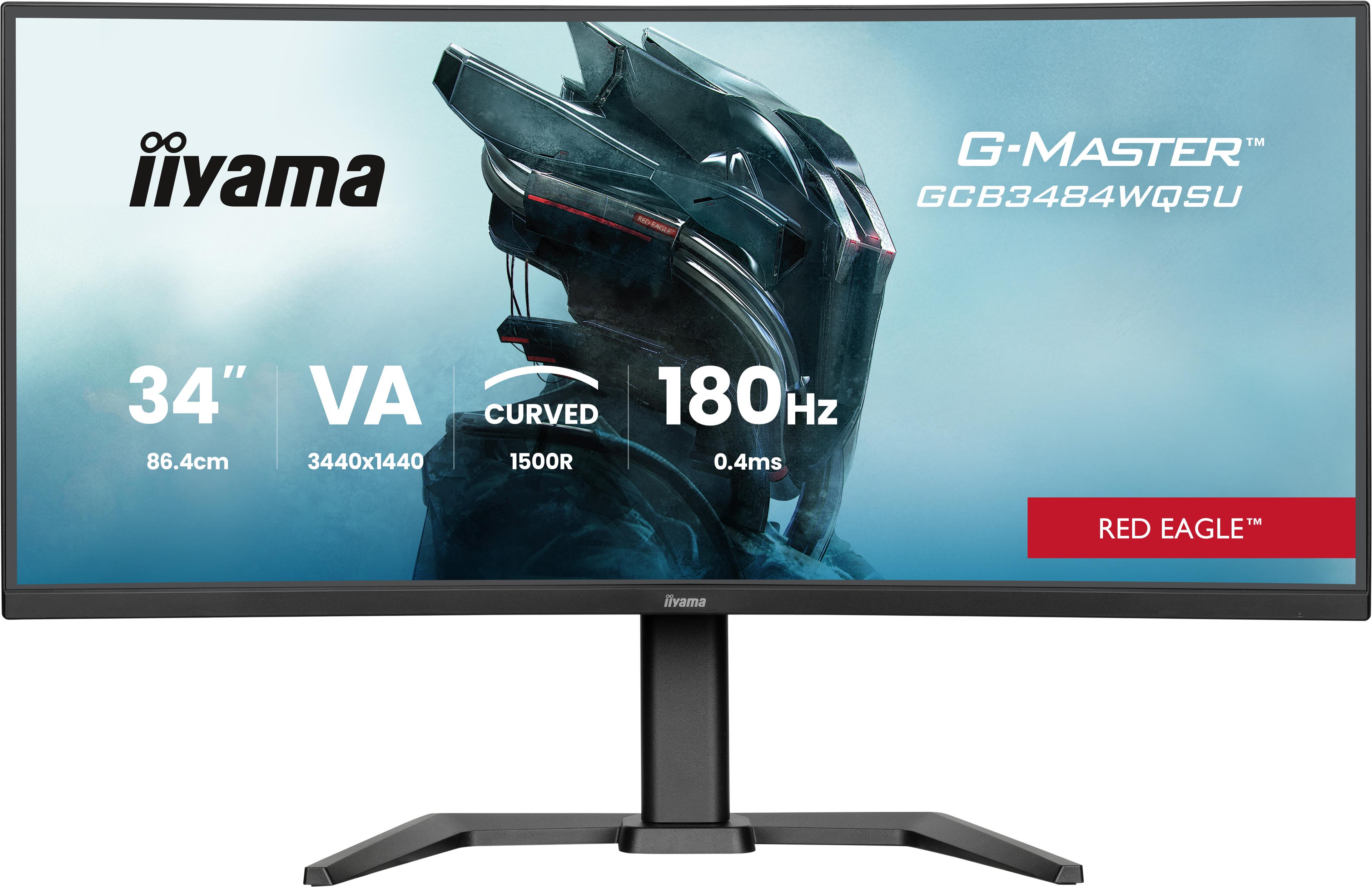 iiyama G-MASTER...