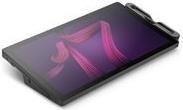 Wacom Cintiq Pro 17 tavoletta grafica Nero 382 x 215 mm USB (Wacom Cintiq Pro 17)