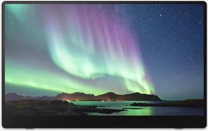 Monitor Portatile RICOH 150BW (Wireless/Wired Model) 15.6 OLED 1920x1080 Resolution / 1ms Response timePROMO MAX 1 PEZZO