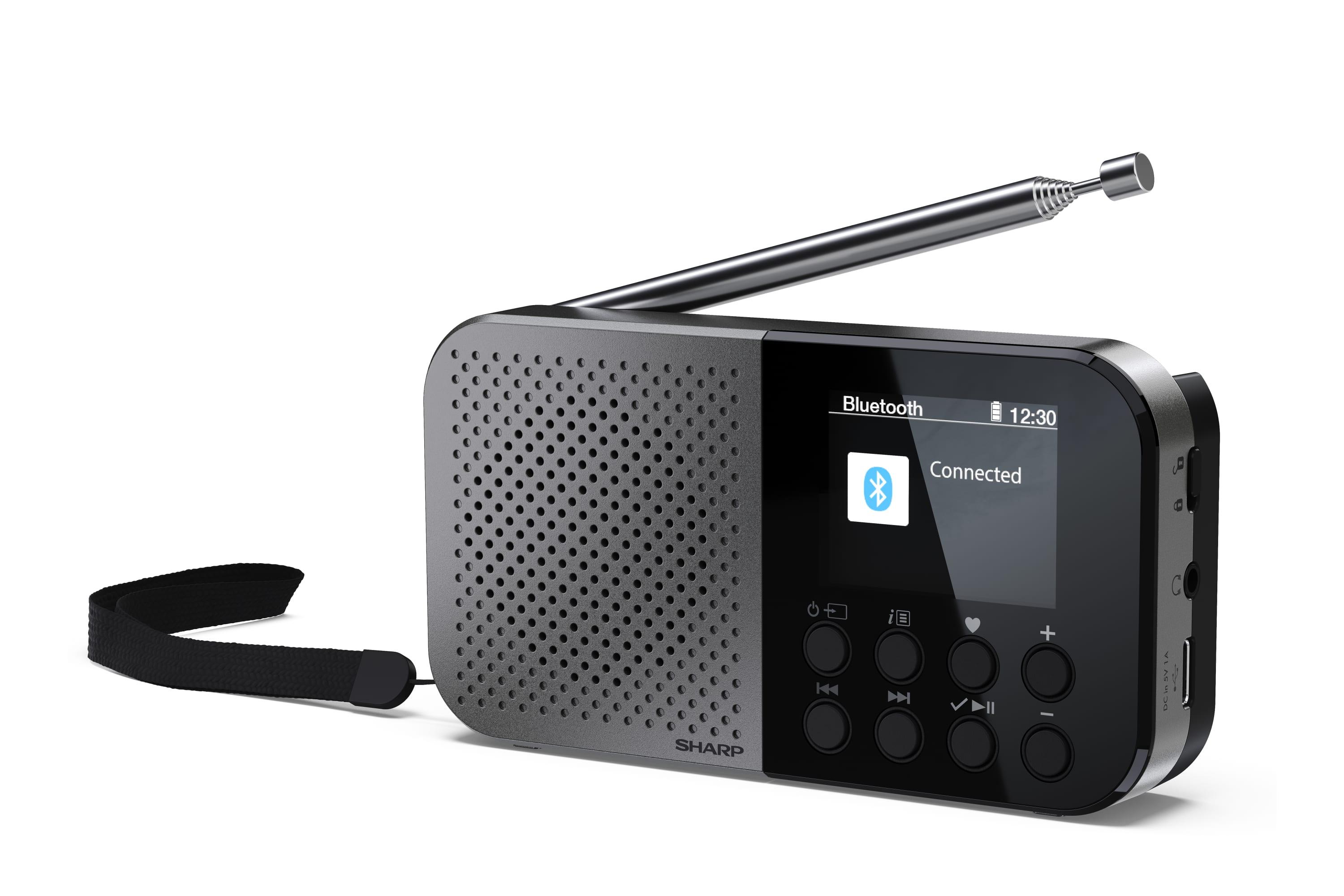 Sharp DR-P520 Personale...