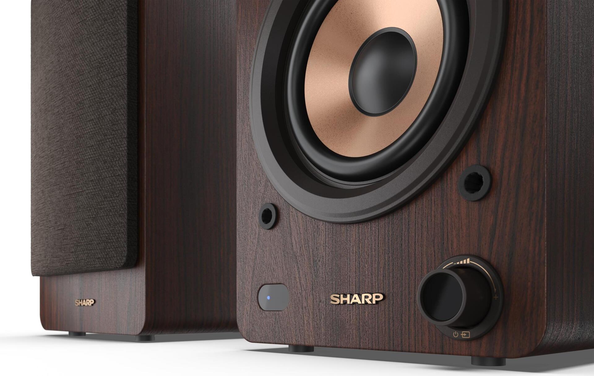 CHAPT CP-SS30 BT HIFI Altoparlante Brown