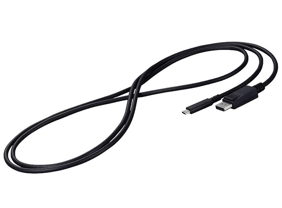 EIZO CP200-BK cavo DisplayPort 2 m USB C Nero