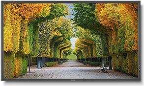 NEC Multisync X554HB - 140 cm (55 ") Great LED Display - segnaletica digitale - 1080p (FULL HD) 1920 x 1080 - LED direttamente