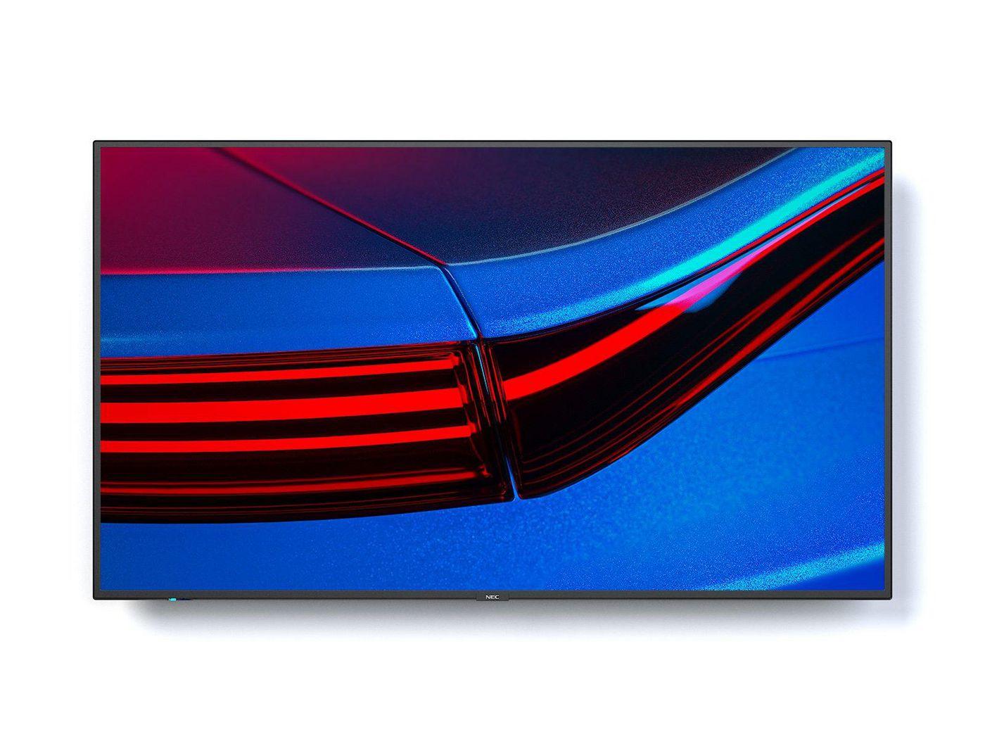 NEC MULTISYNC P495 - CLASSE...