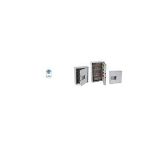Cassaforte con chiave KS0031E MKII CYGNUS