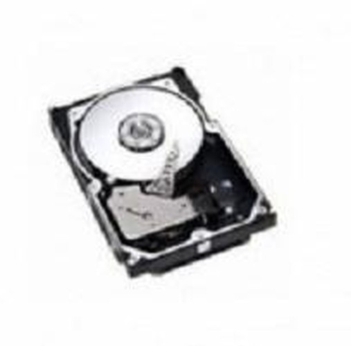 300 GB FC 10K HS
