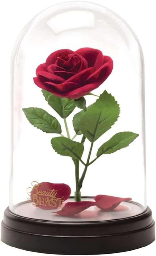 ENCHANTED ROSE LIGHT V2 BDP